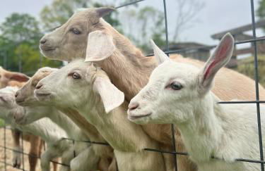 Stunning luxury Retreat I Wineries & Fall Farm Fun - Photo 65