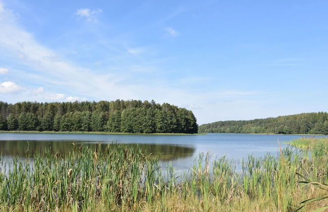 Holiday Home, Niesiolowice - Foto 13