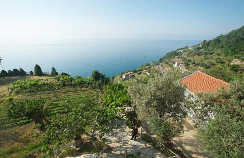 Sopra il Limoneto - Foto 10