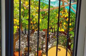 Il Limoneto di Lulù, holidays among the lemon trees - Foto 16