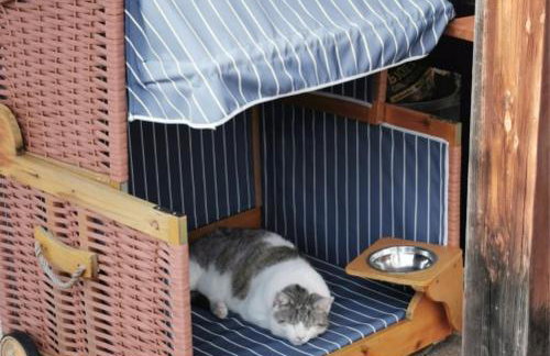 Ferienwohnung am Moosweg - Foto 13