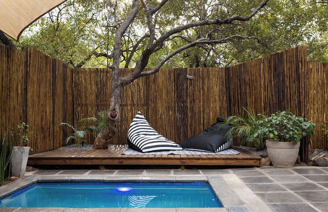 Braai Safaris Lodge - Foto 47