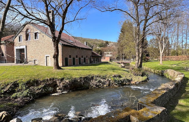 Mansion With Pool, Neblon - Foto 28