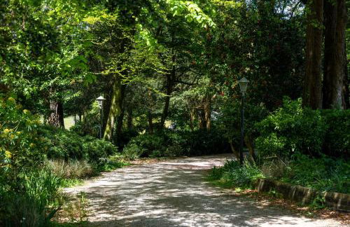 Penmorvah Manor Hotel - Foto 35