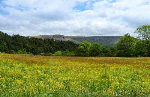 The Summer Palace - Photo 9