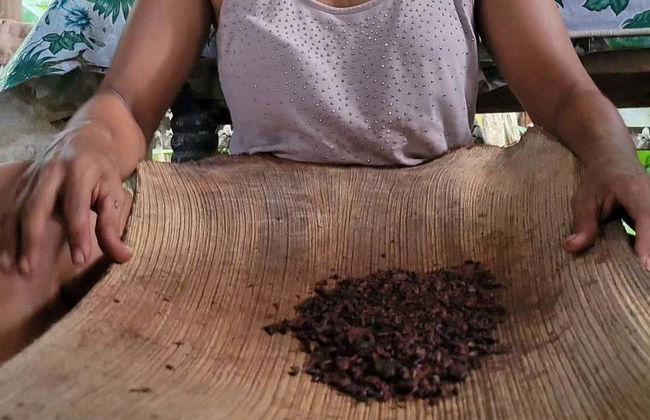 Toa River Boat Ride+ Maguana Beach - Foto 8