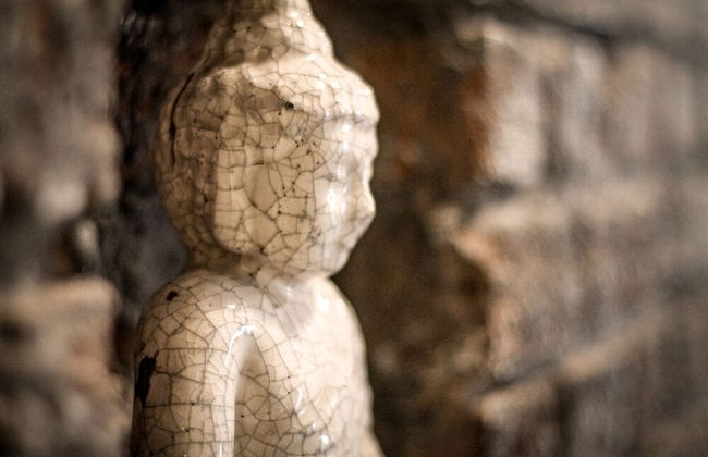 the backyard - Foto 28