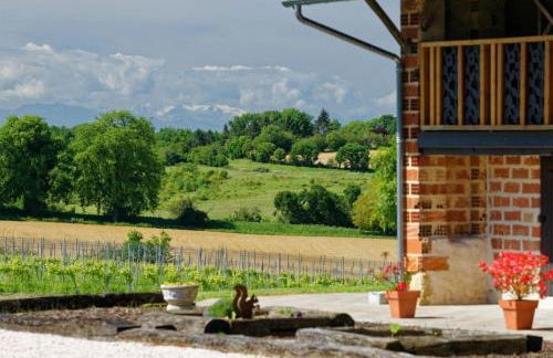 Le Cabanot - Foto 26