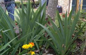 Agriturismo Il Gelso - Foto 55