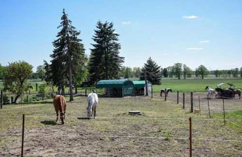 Barrierefreie Ferienwohnung Trüben (Zerbst/Anhalt) - Foto 9