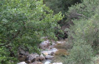 Carrerapiana Apartments - Foto 64