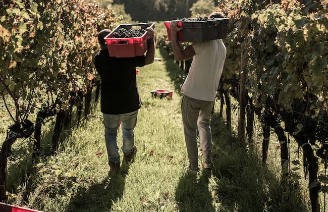 Casale Podernovo - Foto 16