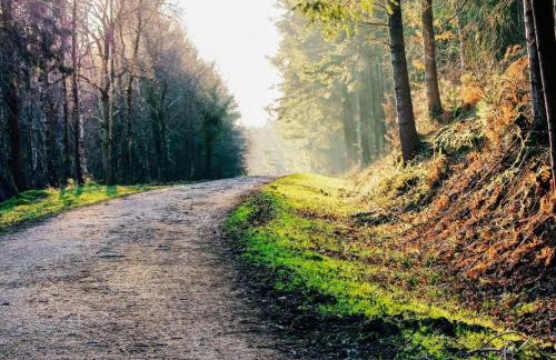 2 Bed in Kingsteignton oc-w34194 - Foto 28