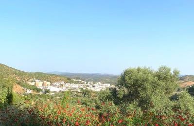 El Molino de La Quinta - Photo 26