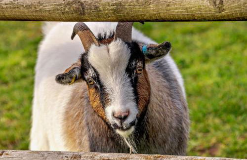 2 Bed in Axbridge oc-91358 - Foto 22