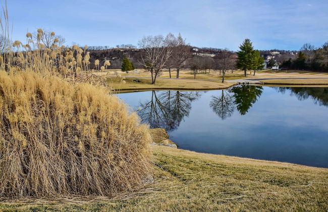 Birdie's Bliss 2BR Condo Sleeps 6! - Photo 22