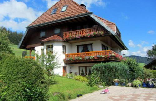 Ferienhaus Brigitte - Breitnau - Photo 29