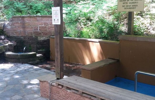 Holiday Apartment Mossauer Hohe - Foto 17