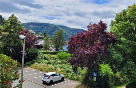 Ferienwohnung Malbergblick klassifiziert mit 4 DTV-Sternen - Foto 9