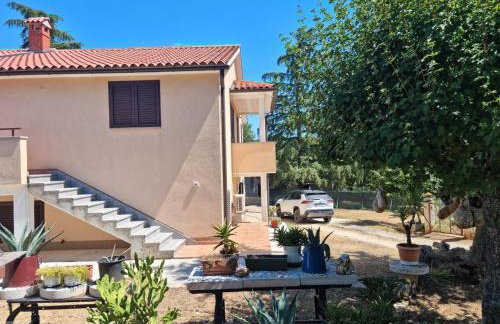 Apartment Markovic - Foto 5