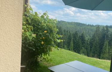 Apartament w górach Gorce - Foto 24