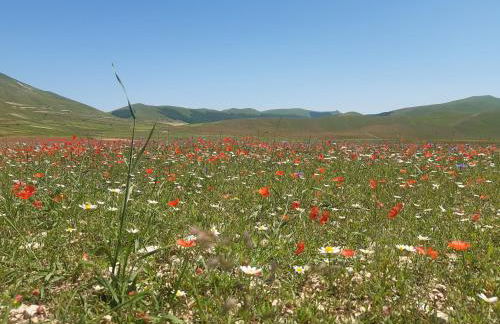 mansio maritima - Foto 54