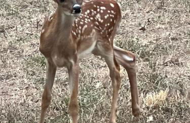 Fishers Of Men Ranch Home - Photo 72