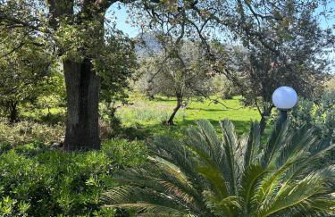 Villa Grazia - Foto 41