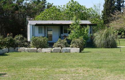 MAS MAURANE-Le Platane avec SPA privé aux portes d'ARLES - Foto 5