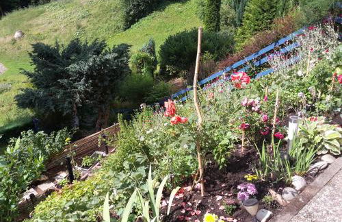 Haus Wiesental - Foto 8