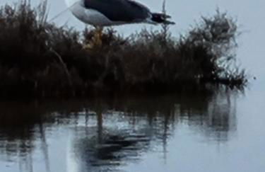 Les hauts d'azur - Foto 48