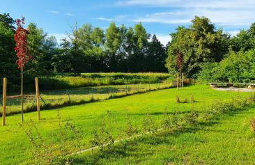 Ferienhaus Rotdorn - Foto 50