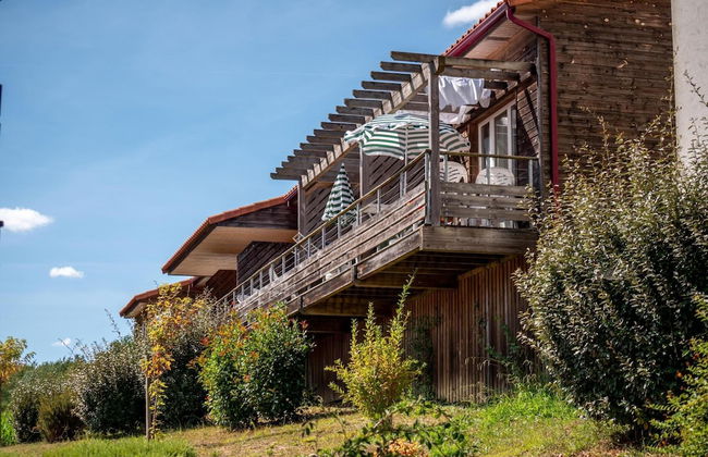 Olydea Cassen - Foto 41