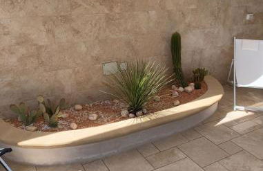 The Sunflower - Foto 6