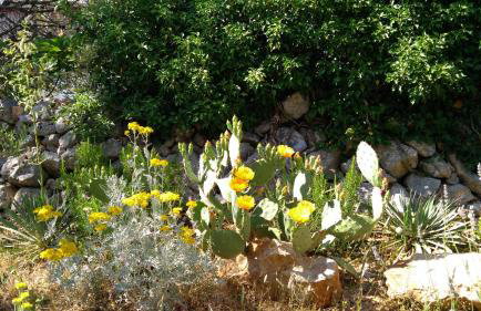 Apartman Ruža - Photo 5