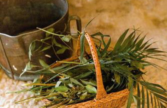 Finca Es Cabas - Foto 21