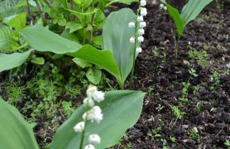 Gîte de charme proche du Zoo Beauval et Châteaux - Photo 62