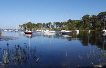 L'atelier, chalet proche lac et océan à Hourtin - Foto 21