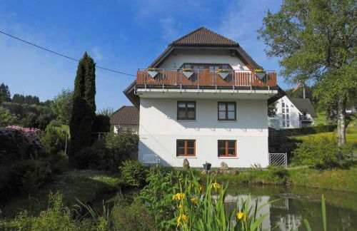 Cosy apartment with private garden in Brachthausen in the Sauerland - Foto 37
