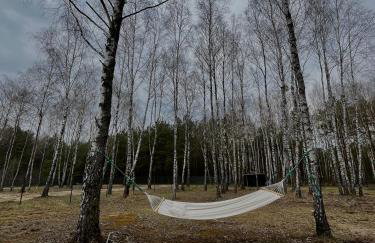 Cisza lasu - Foto 10