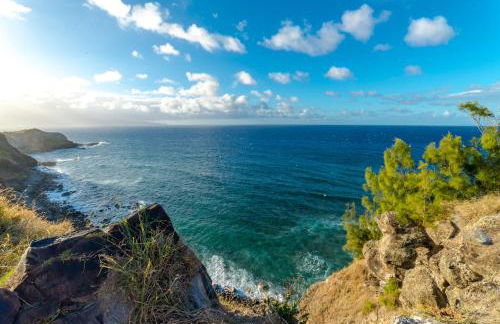 Kaanapali Royal F303 - Foto 24