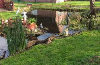 Fewo Storchennest - Foto 14