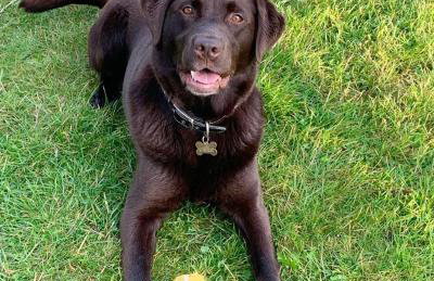 Valley Barn - Foto 16