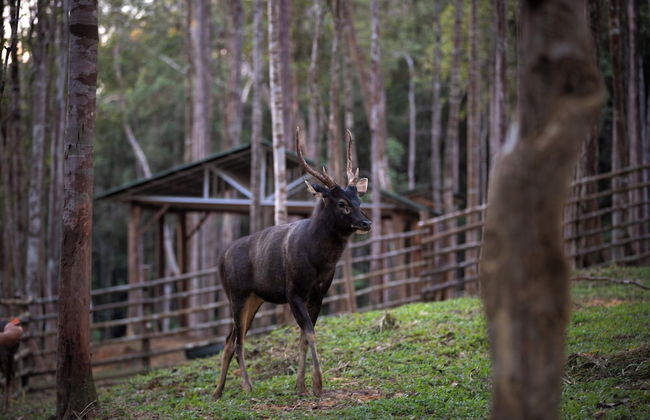 Panbil Residence Serviced Apartment - Foto 58