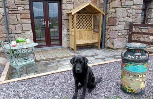 Conwy Pen Cefn Farm Holiday - Photo 1