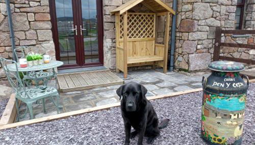 Conwy Pen Cefn Farm Holiday - Foto 1