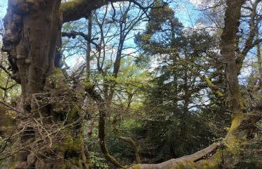 The Peak Retreat - Foto 27