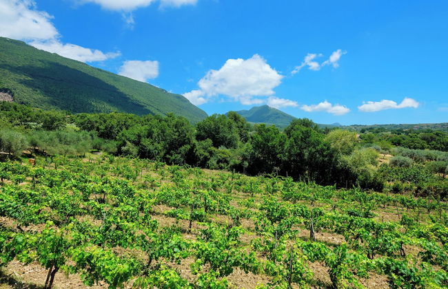 L' Aia Resort - Foto 55