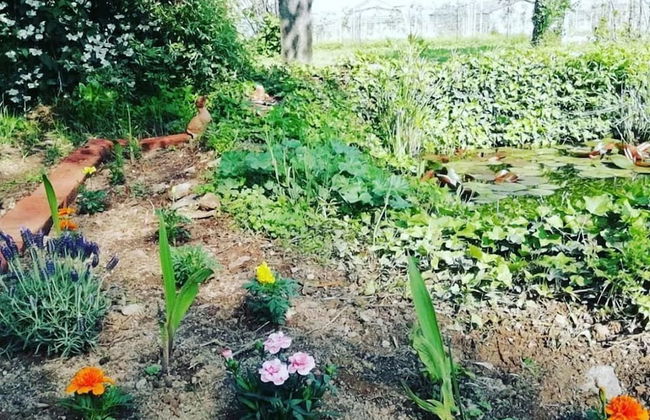 Agriturismo Magnarosa - Photo 26