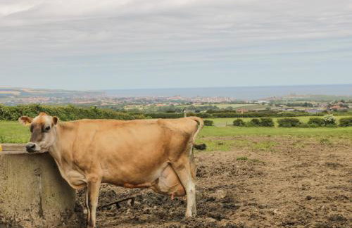 The Goat Shed - Foto 21